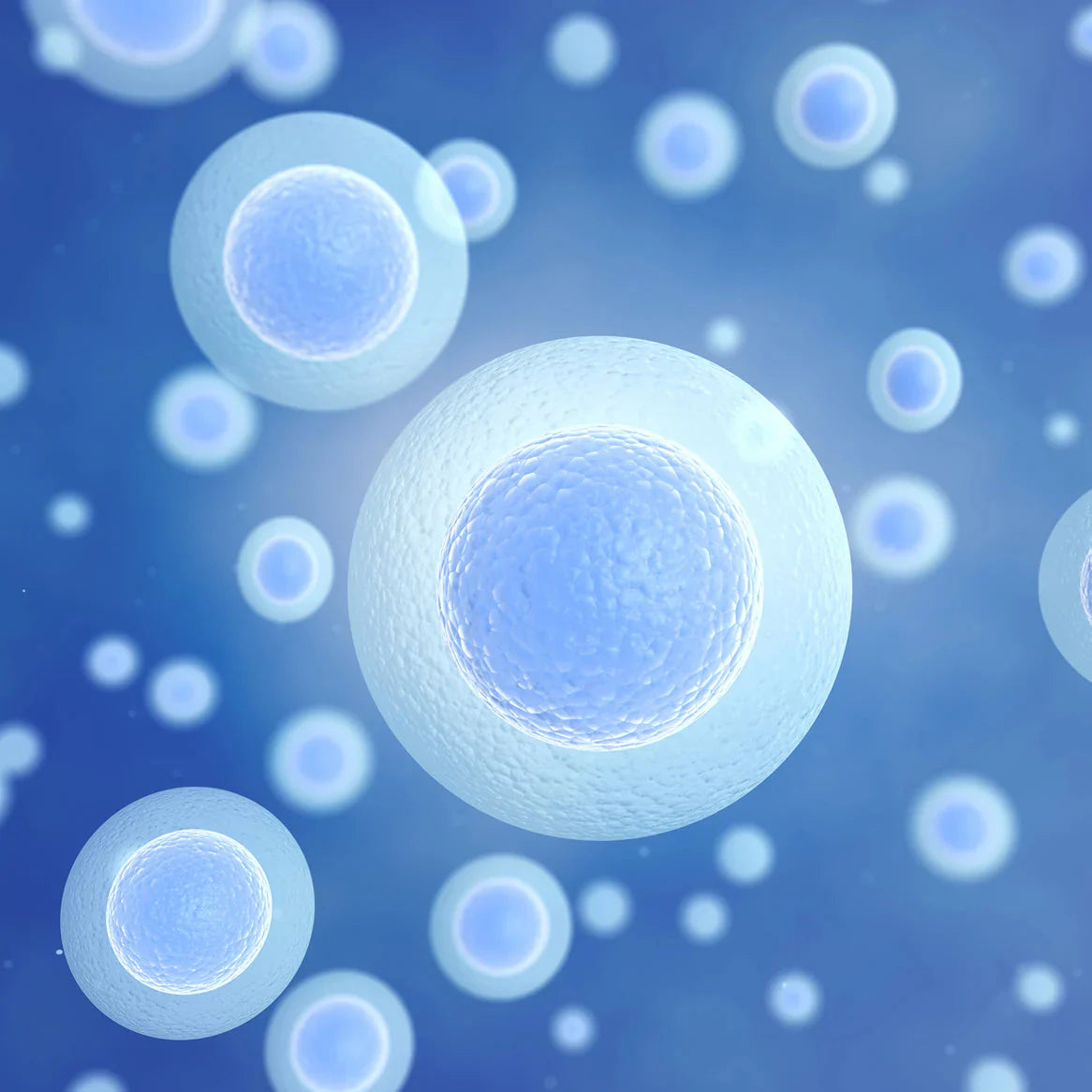 Your Complete Cellular Rejuvenation In Just One Daily Scoop